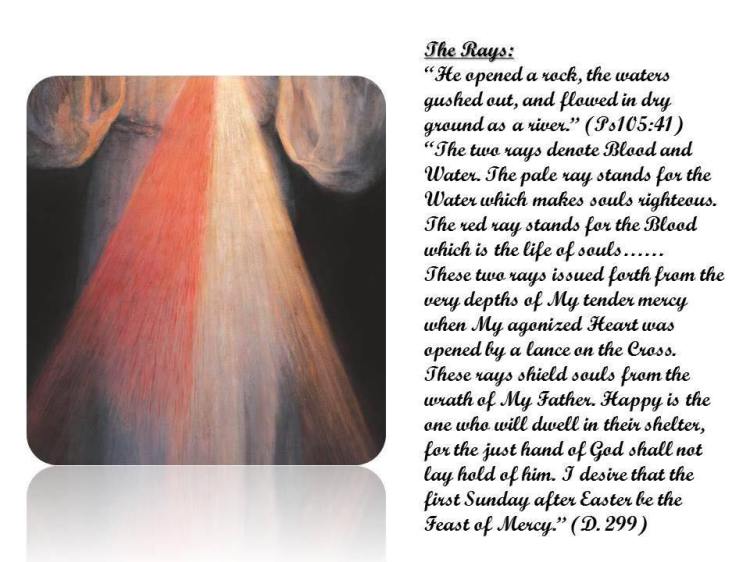 12742385_10154143409699448_2000838107034957115_n